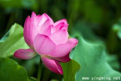 岳麓區(qū)網(wǎng)站的建設(shè)如何進(jìn)行